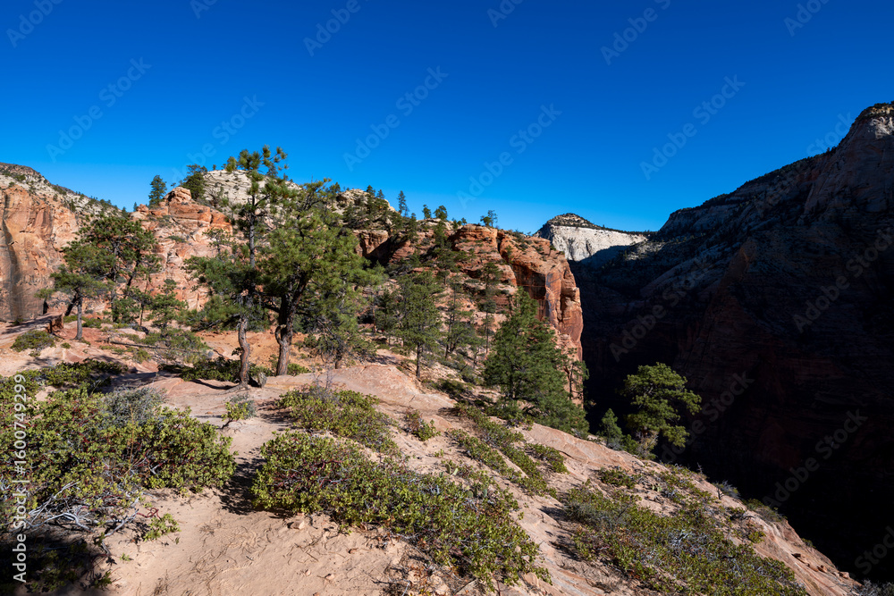 Fototapeta premium Zion National Park