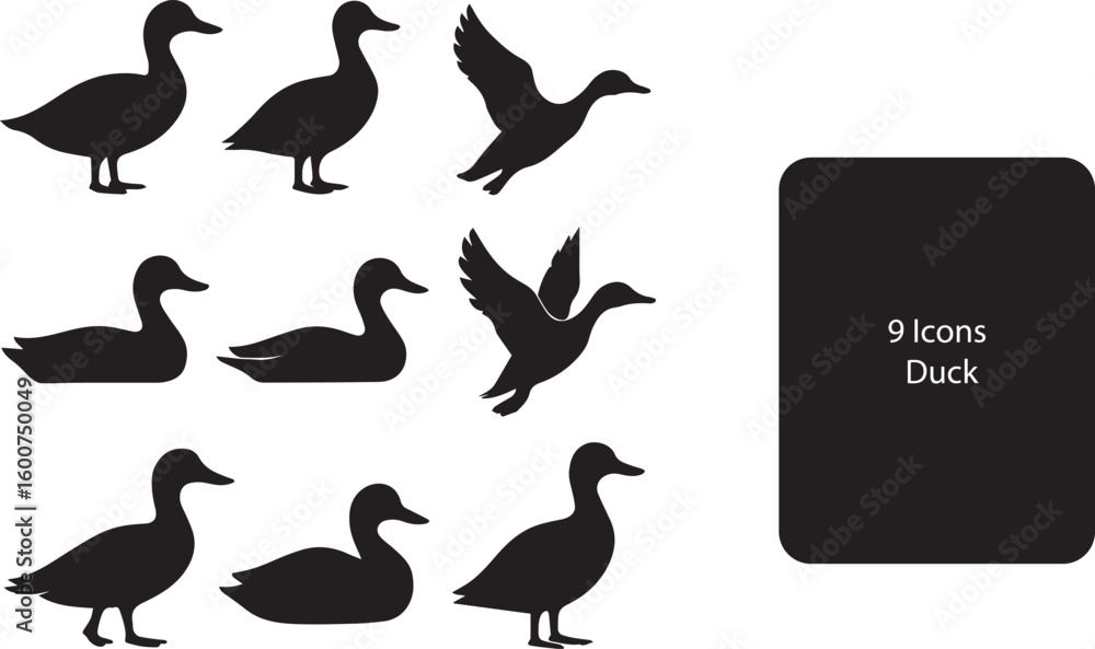 Obraz premium Duck Silhouette Vector Set – Minimalist Waterfowl Icons for Nature and Wildlife Design