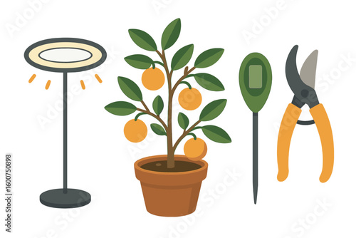 Indoor gardening setup with plant, growing light, tools, and nurtured citrus tree in a cozy atmosphere