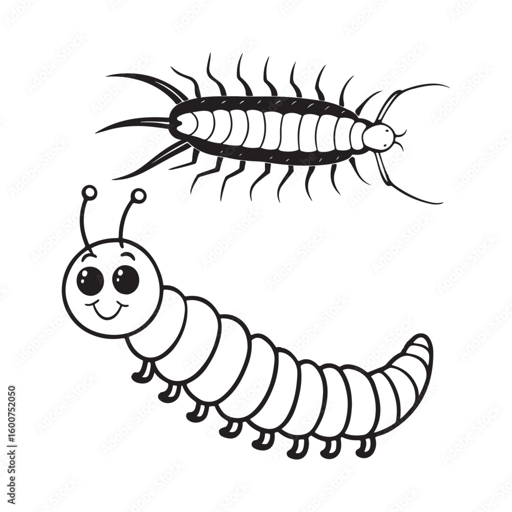 Fototapeta premium A drawing of a centipede line art illustration