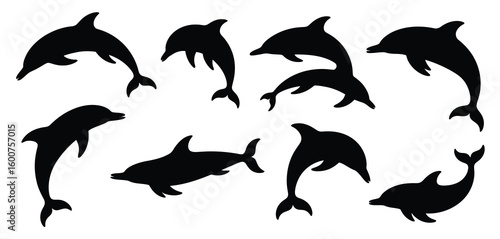 Collection of silhouetted dolphins in various poses
