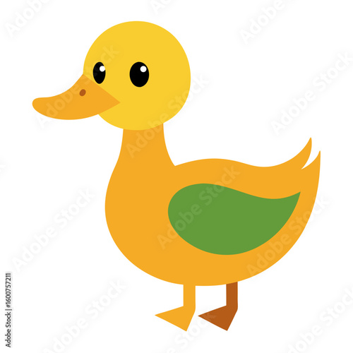 Duck