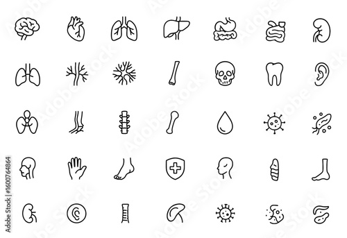 Human anatomy icon set with vector glyph pictograms of brain, heart, lungs, liver, stomach, intestine, kidney. Medical healthcare and biology black silhouette illustration, health symbols,