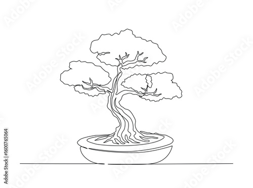 Beautiful bonsai tree in single outline illustration. Continuous line art drawing of bonsai tree in pot.
