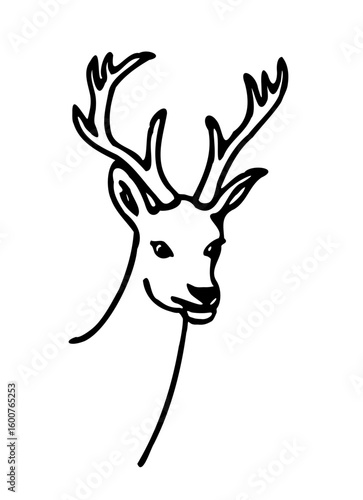 deer fawn head vector illustration buck animal antler hand drawn icon