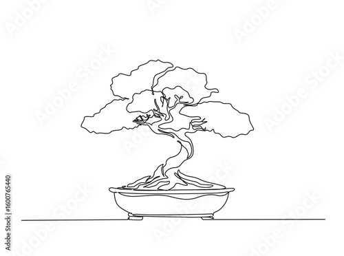 Beautiful bonsai tree in single outline illustration. Continuous line art drawing of bonsai tree in pot.
