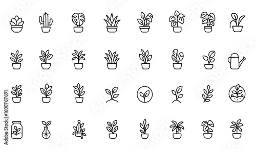 Indoor houseplants icon set. Thin linear vector pictograms of succulents, cactus in pot, monstera, bonsai, aloe vera, peace lily, philodendron, orchid, plant illustration, greenery, decor.