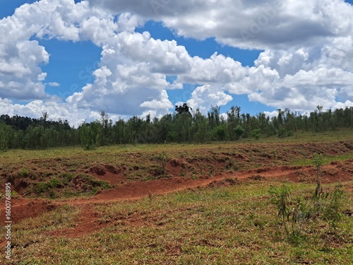 Foto Formação de voçoroca e ravina devido à erosão pluvial em uma área degradada de u