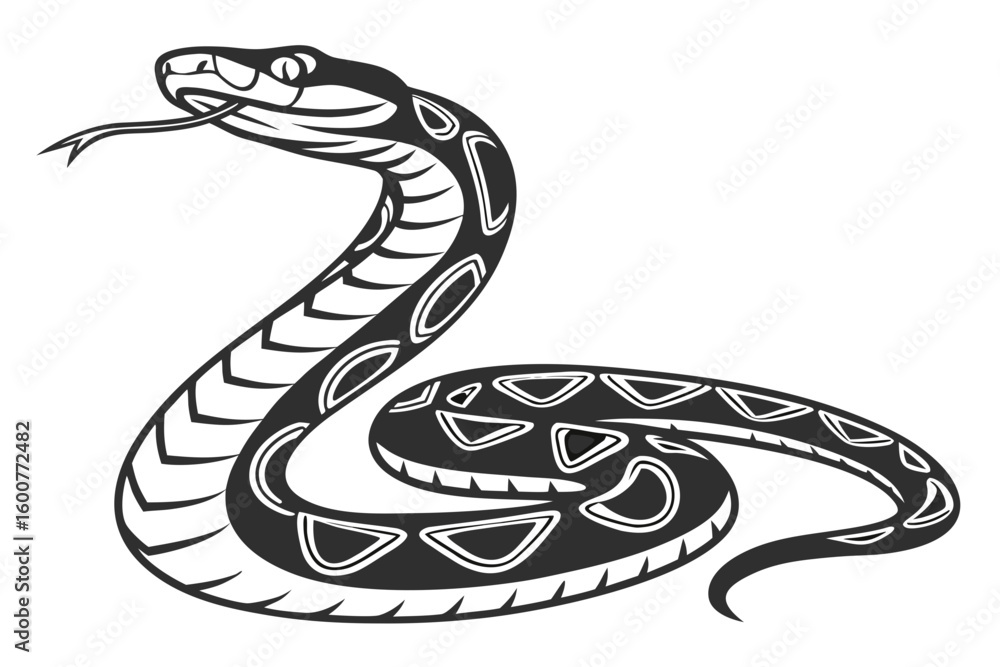 Fototapeta premium python sihouette black vector