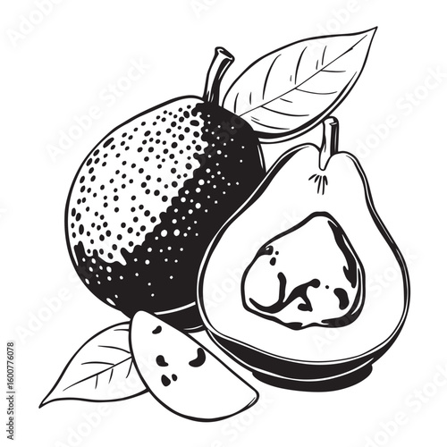 Sapodilla with leaf and slice vector design concept black and white illustration.