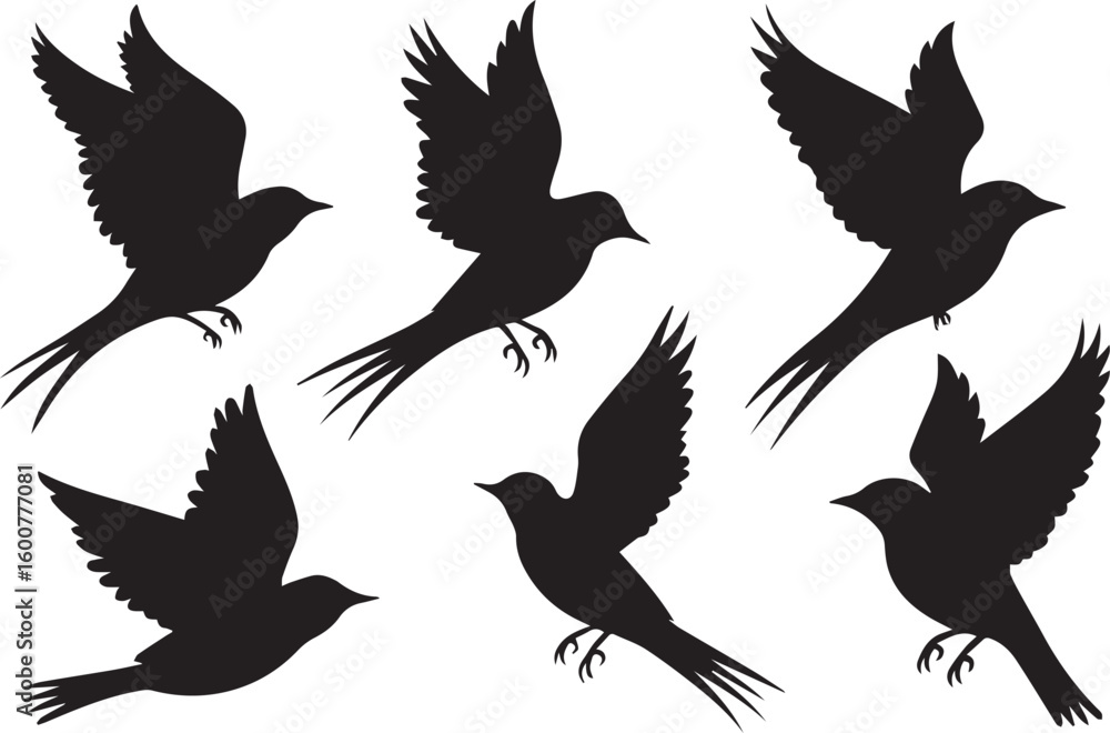 Obraz premium Birds Silhouettes on White Background 