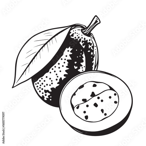 Sapodilla with leaf and slice vector design concept black and white illustration.