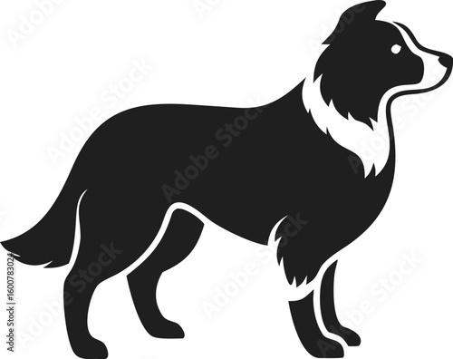 Border Collie dog silhouette with pointed ears, fluffy fur, and bushy tail in alert herding stance