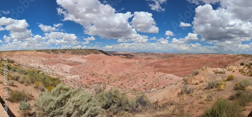 Petrified Forest National Park is in northeastern Arizona. It has many diverse areas to explore. 