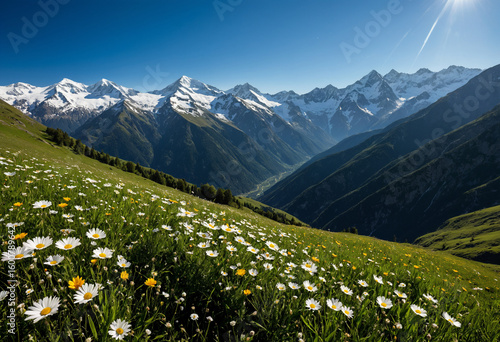 photo landscape peaceful meadow in the mountains with snow-capped peaks in the background
