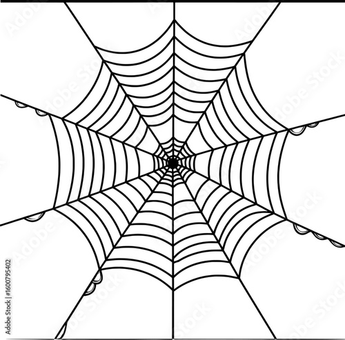 Intricate black spiderweb with dew drops on white background arachnid nature