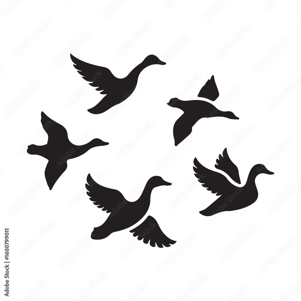 Obraz premium Silhouette flock of five ducks in flight against a white background in a circular formation