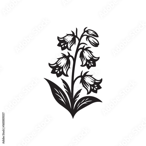 Elegant black and white illustration of a delicate bluebell flower stem with leaves