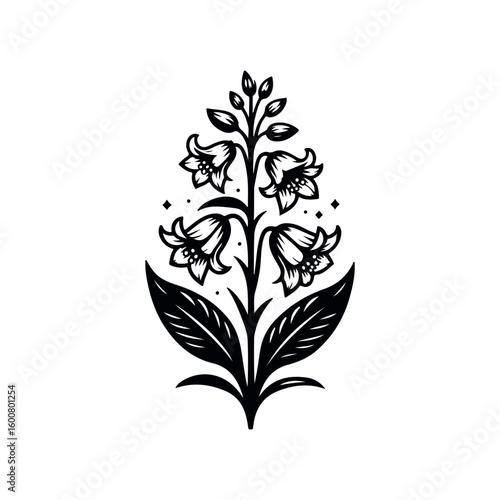 Vintage botanical illustration of a delicate bellflower plant with leaves and small buds in black and white
