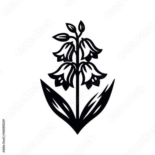 Elegant black and white illustration of a blooming bluebell flower with leaves on a white background