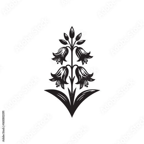 Elegant black and white illustration of a bellflower plant with delicate blossoms and leaves