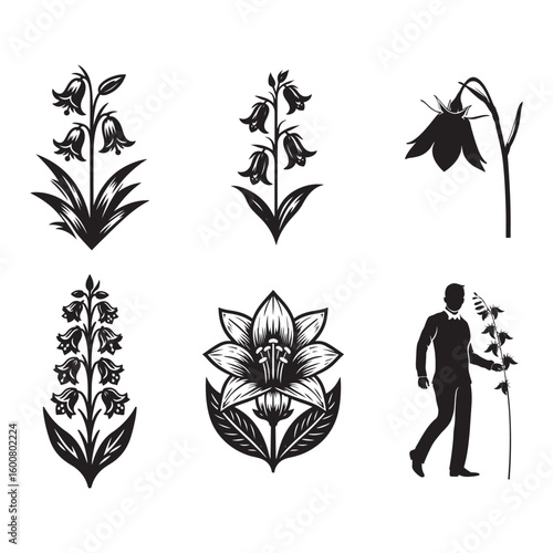 Collection of six vintage black and white botanical illustrations featuring flowers and a gentleman