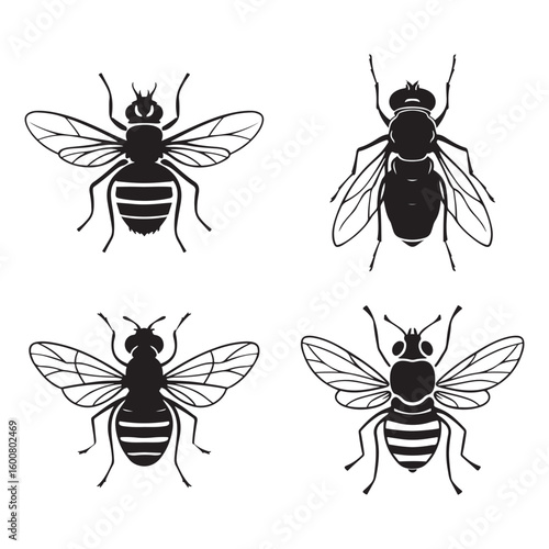 Four stylized black and white illustrations of honeybees in different poses on a white background