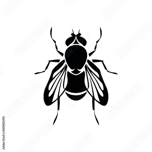 Detailed black silhouette of a common housefly viewed from above against a stark white background