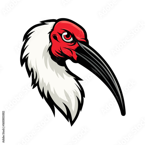 Red and white bird with long black beak in a striking artistic illustration representing wildlife