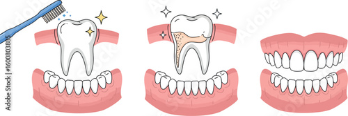 Tooth care and hygiene: cleaning, structure, and healthy smiles