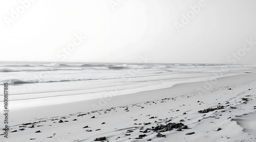 Fototapeta Naklejka Na Ścianę i Meble -  High-resolution black and white stock photo timeless and elegant beach scene, commercial quality, professional lighting, classic aesthetic