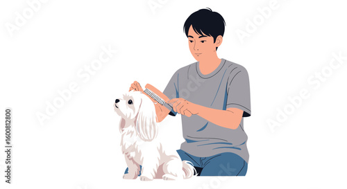 Human companionship, a tender moment of grooming: A man lovingly brushes his fluffy white dog maintaining its elegant appearance with care