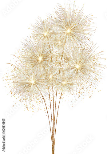 Wallpaper Mural Golden firework bursts, radiating light Torontodigital.ca