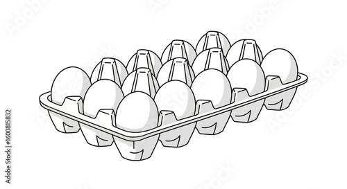 Monochrome egg carton illustration displaying a dozen white eggs isolated on a plain white background showcasing a culinary illustration