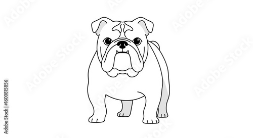 Detailed line drawing showcasing a charming bulldog with its characteristic wrinkles and stout posture, set against a minimalist white backdrop