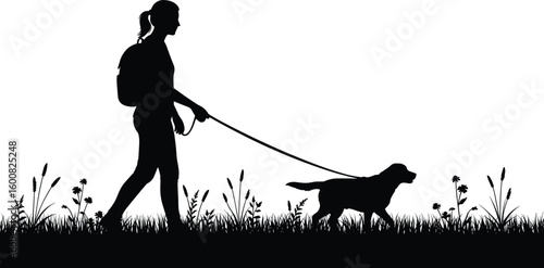 Silhouette of person walking dog, outdoor scene, peaceful nature, evening light, pet owner stroll, leash, grass, flowers, landscape, serene moment