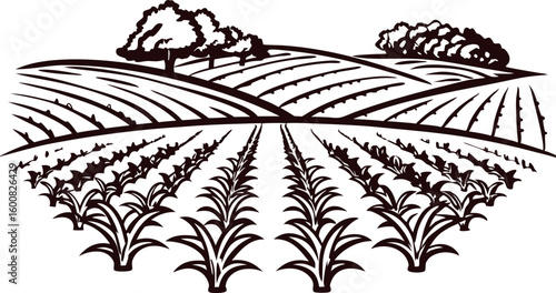 Black and white illustration of rural farmland with crop rows and trees on rolling hills
