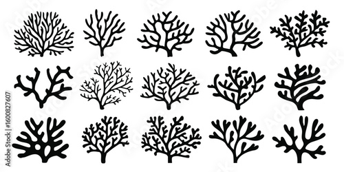 Silhouetted Coral Collection A Variety of Marine Plant Life Forms for Decoration and Artistic Purposes in Black and White
