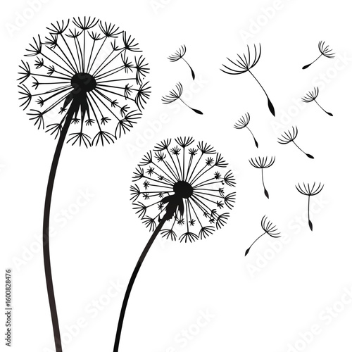 Delicate Dandelions Dancing in the Breeze A Whimsical Display of Nature's Beauty and the Fleeting Nature of Time