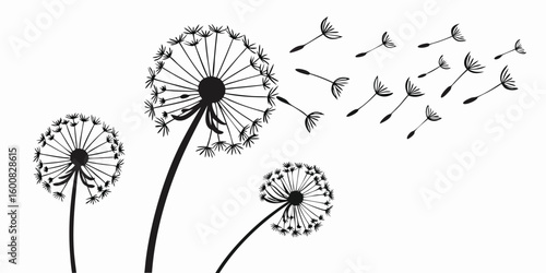 Dandelion Seeds Blowing in the Wind A Delicate Dance of Nature's Beauty and Freedom with Artistic Botanical Illustration