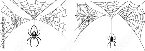 Spooky black spider hanging from web isolated on white background halloween decoration