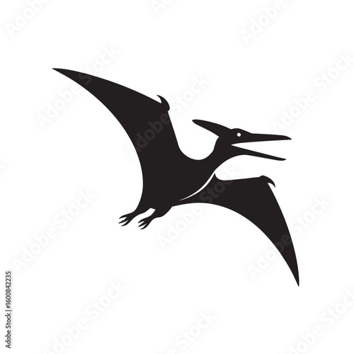 Silhouette of a pterodactyl in flight with wings spread wide isolated on white background
