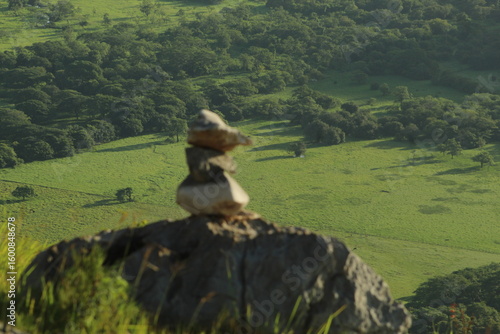 duck in the mountains