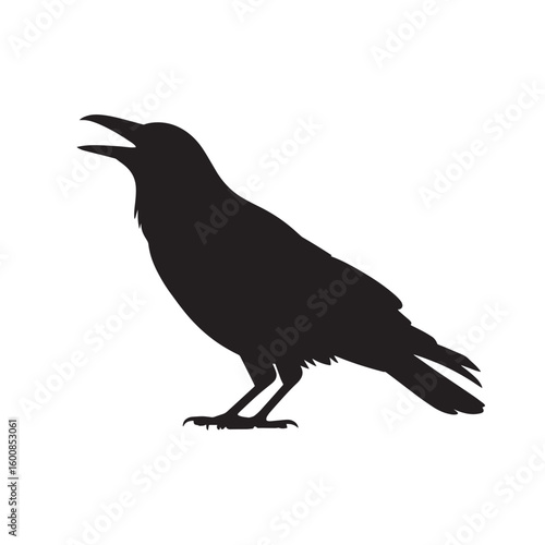 Silhouette of a black crow with its beak open perched and vocalizing isolated on white background