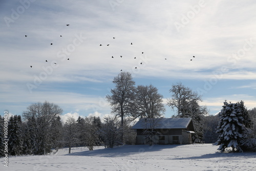La Feclaz en hiver