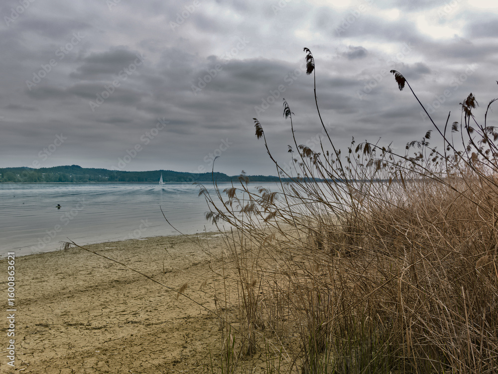 Obraz premium melancholic and lonely lake panorama on a cloudy day