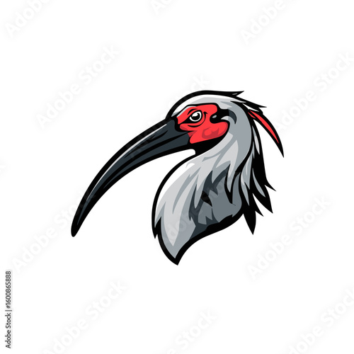 Stylized illustration of a bird with long beak and red accents, emphasizing unique features in a colorful design