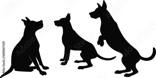 Three great dane dog silhouettes in various poses against a white background