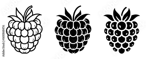 Three stylized raspberries in black and white raspberry fruit