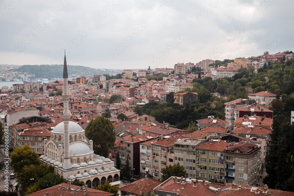 Fototapeta premium A cityscape view over the Bosporus of the suburbs in the city of Istanbul, Turkey.